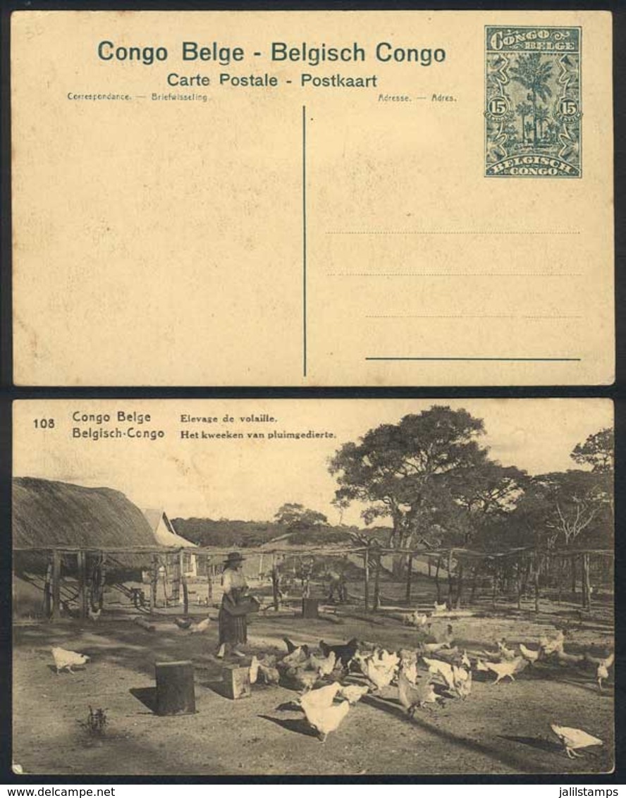 BELGIAN CONGO: 15c. Postal Card (PS) Illustrated On Reverse With View Of A Farm (poultry), VF Quality! - Autres & Non Classés