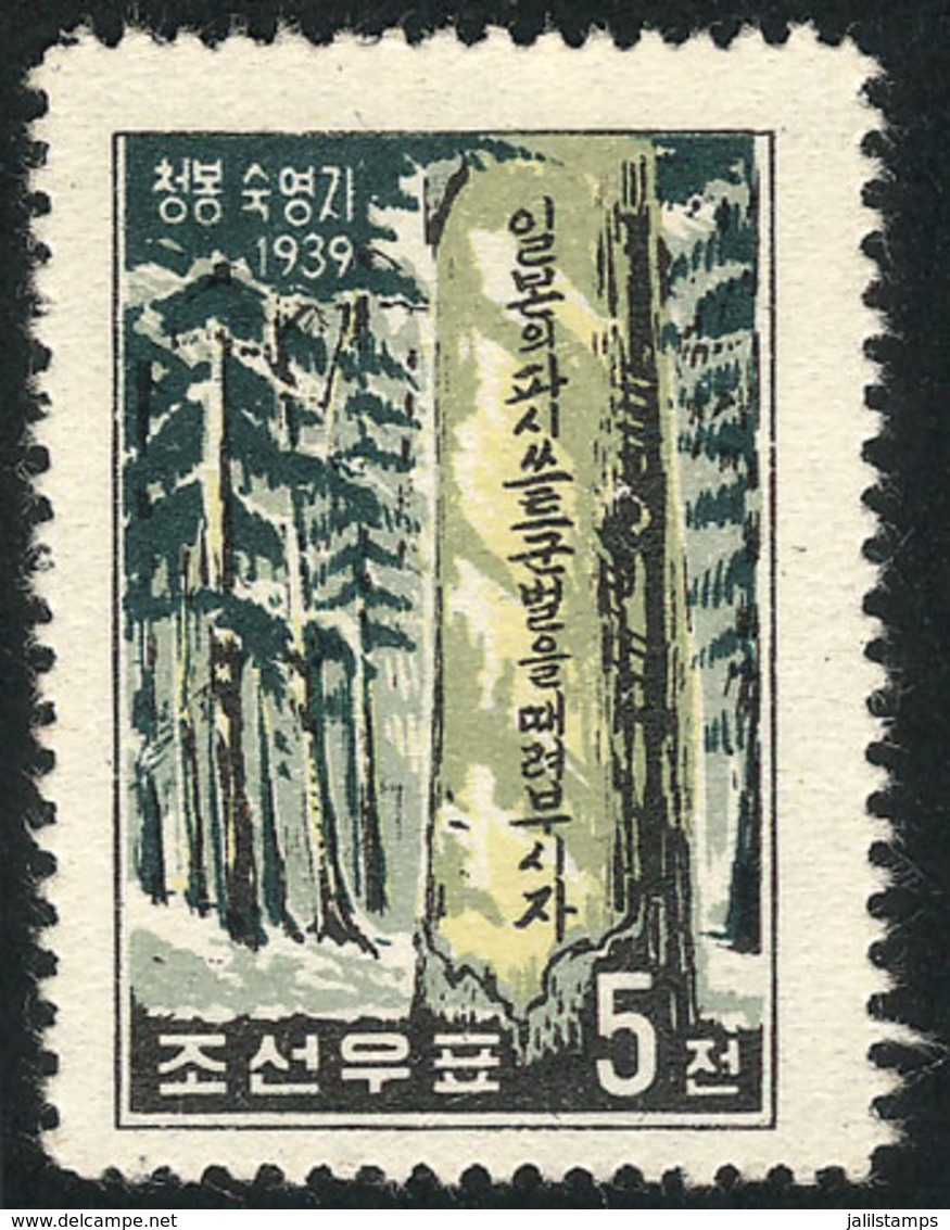 NORTH KOREA: Sc.163b, 1959 5ch Tree With Inscriptions, PERFORATION 10¾, MNH (issued Without Gum), Excellent Quality! - Korea (Noord)