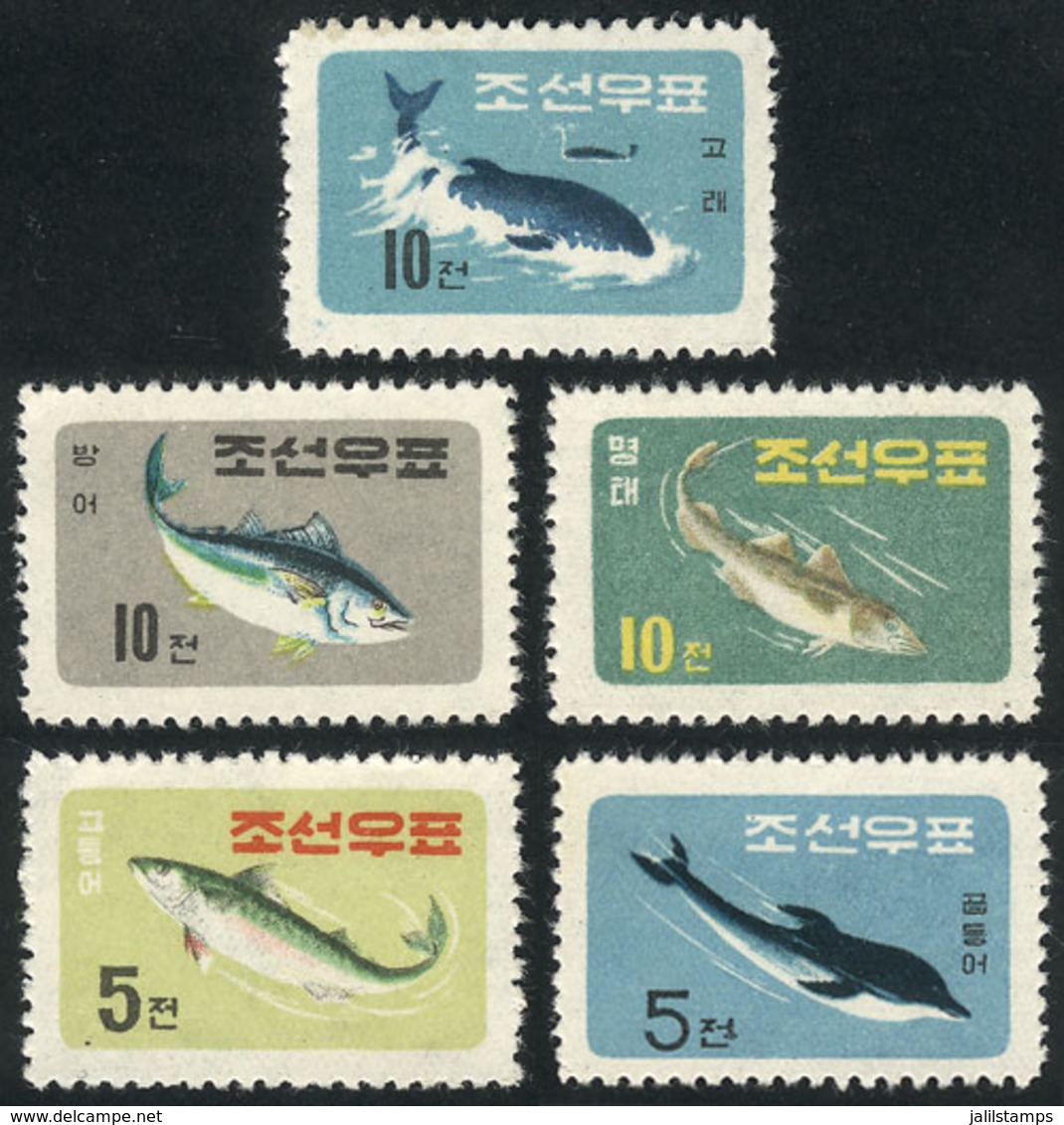 NORTH KOREA: Sc.291/295, 1961 Fish, Cmpl. Set Of 4 MNH Values (issued Without Gum), VF Quality! - Corée Du Nord