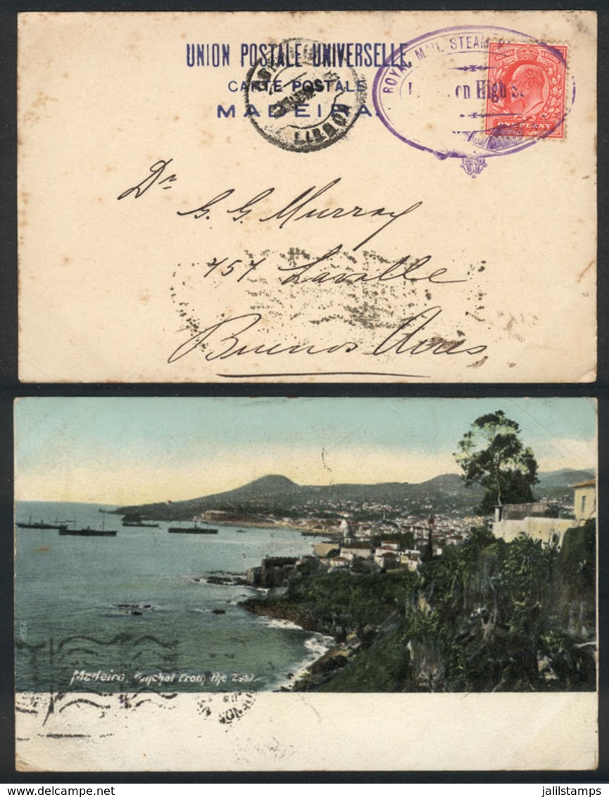 GREAT BRITAIN: Postcard (Madeira: Funchal From The East) Sent To Argentina, Franked With British Stamp Of 1p., With Viol - Andere & Zonder Classificatie