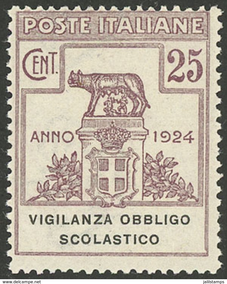 ITALY: Sassone 69, MNH, VF Quality, Catalog Value Euros 250. - Other & Unclassified