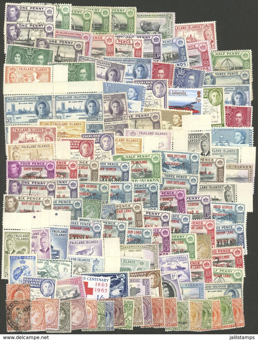 FALKLAND ISLANDS/MALVINAS: Envelope With Large Number Of Stamps, Used Or Mint (ALMOST ALL WITHOUT GUM), Mixed Quality (f - Falkland Islands