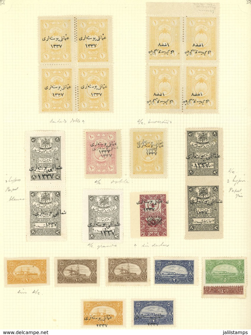 TURKEY - ANATOLIA: VARIETIES: Album Page Of An Old Collection Full Of Good Varieties: Double Perforations, Inverted Over - Autres & Non Classés