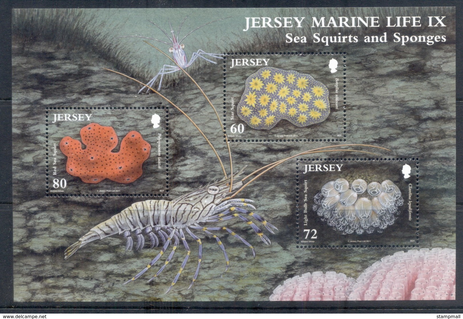Jersey 2011 Marine Life, Sea Squirters MS MUH - Jersey