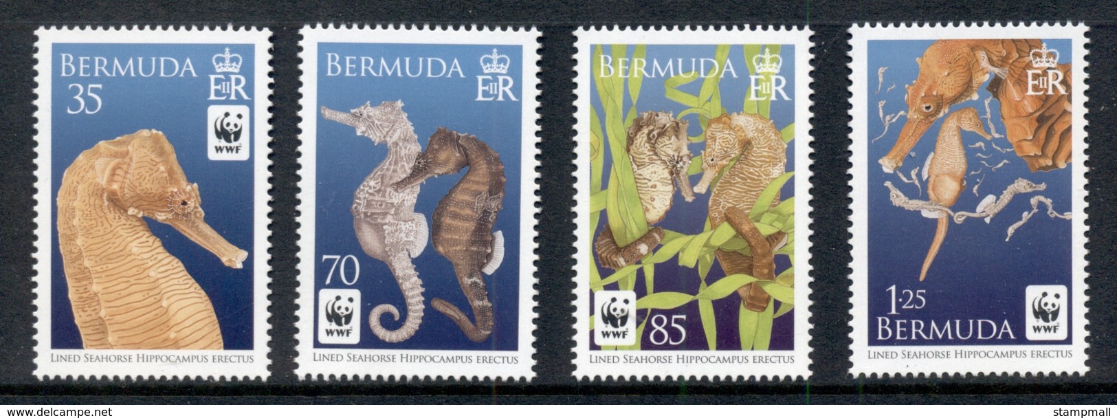 Bermuda 2010 WWF Lined Seahorse MUH - Bermudes