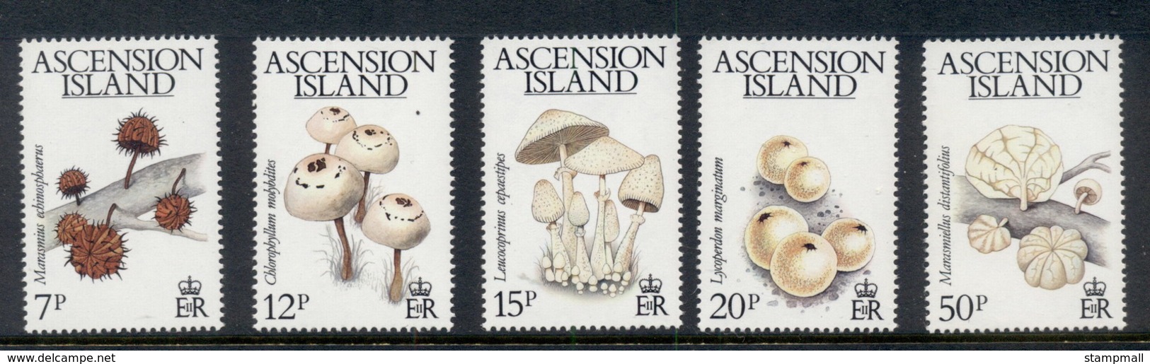 Ascension Is 1983 Funghi Mushrooms MUH - Ascension (Ile De L')