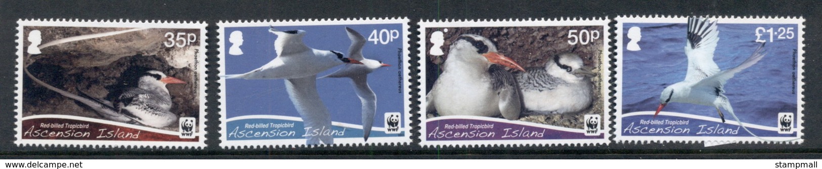 Ascension Is 2011 WWF Red Billed Tropicbird MUH - Ascension