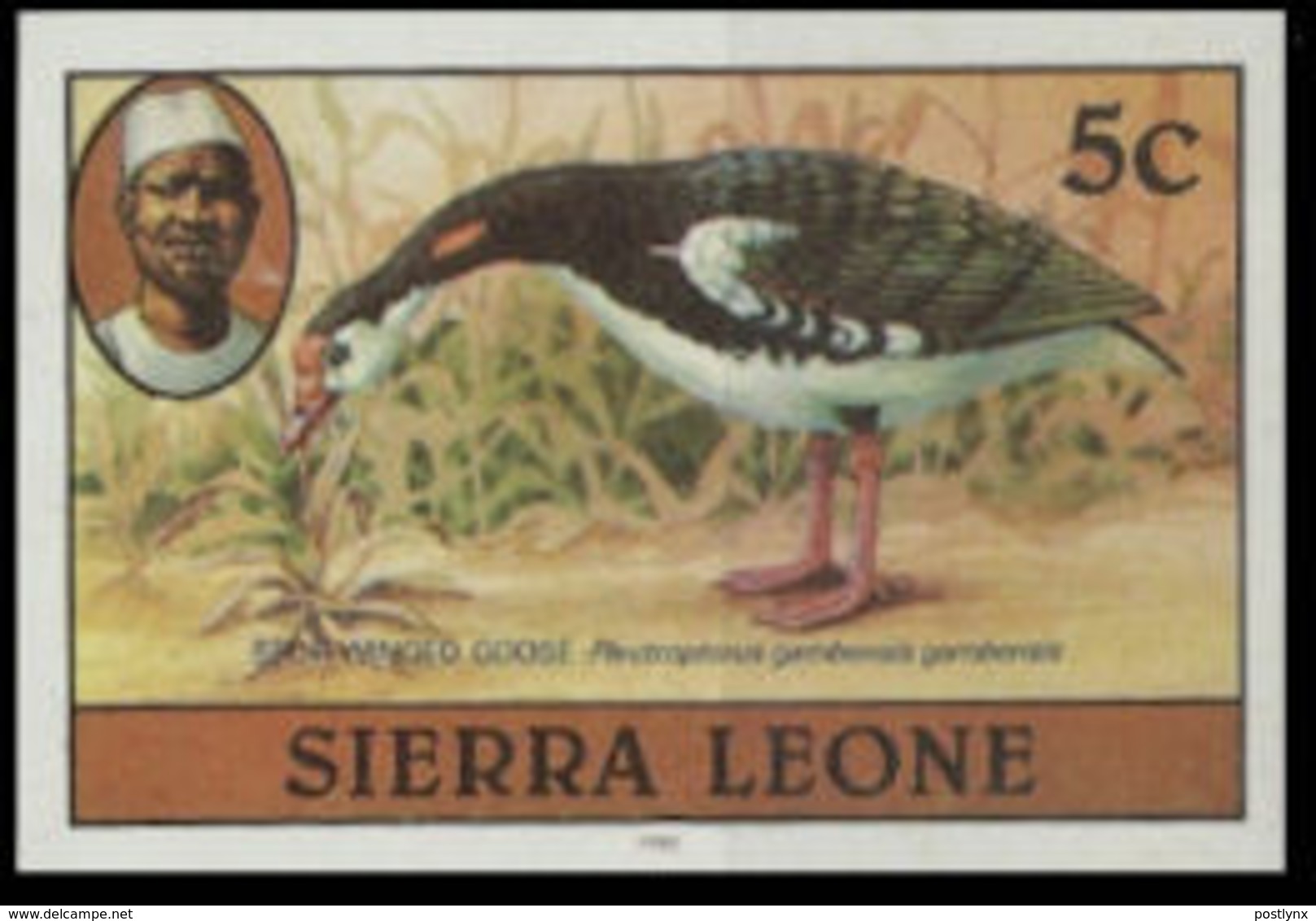 SIERRA LEONE 1980 Birds Goose 5c Imp.1983 No Wmk IMPERF. - Sierra Leone (1961-...)