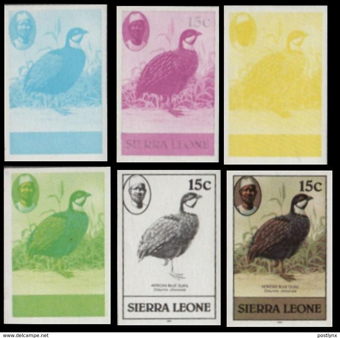 SIERRA LEONE 1980 Birds Blue Quail 15c Imp.1982 Wmk CA IMPERF.PROGRESSIVE PROOFS:6 - Sierra Leone (1961-...)