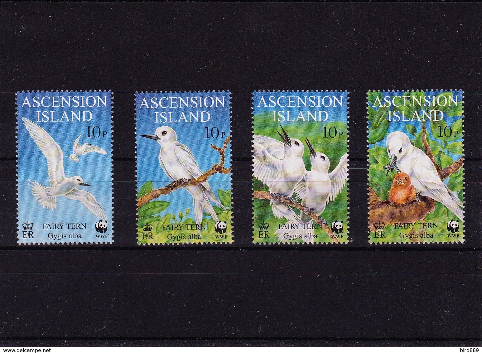 1999 Ascension Birds Full Set MNH - Ascensión