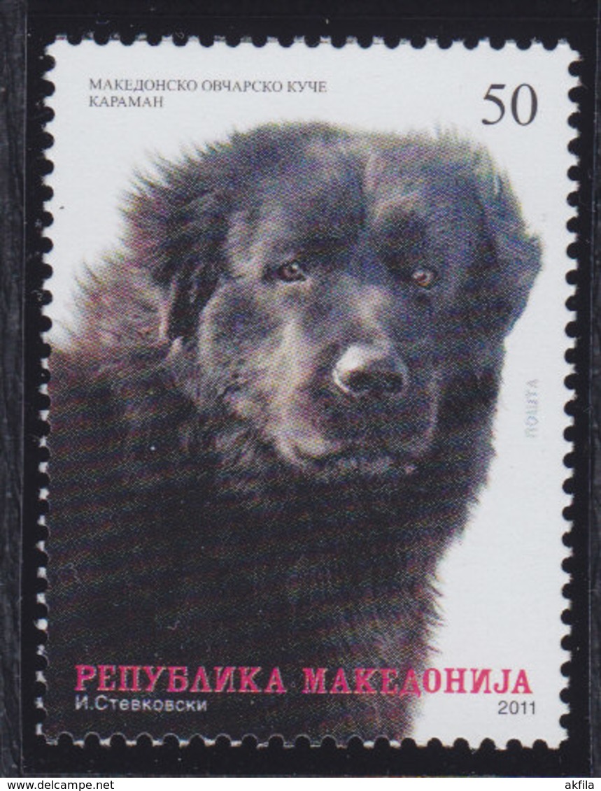 Macedonia 2011 Pets - Dog, MNH (**) Michel 585 - Nordmazedonien