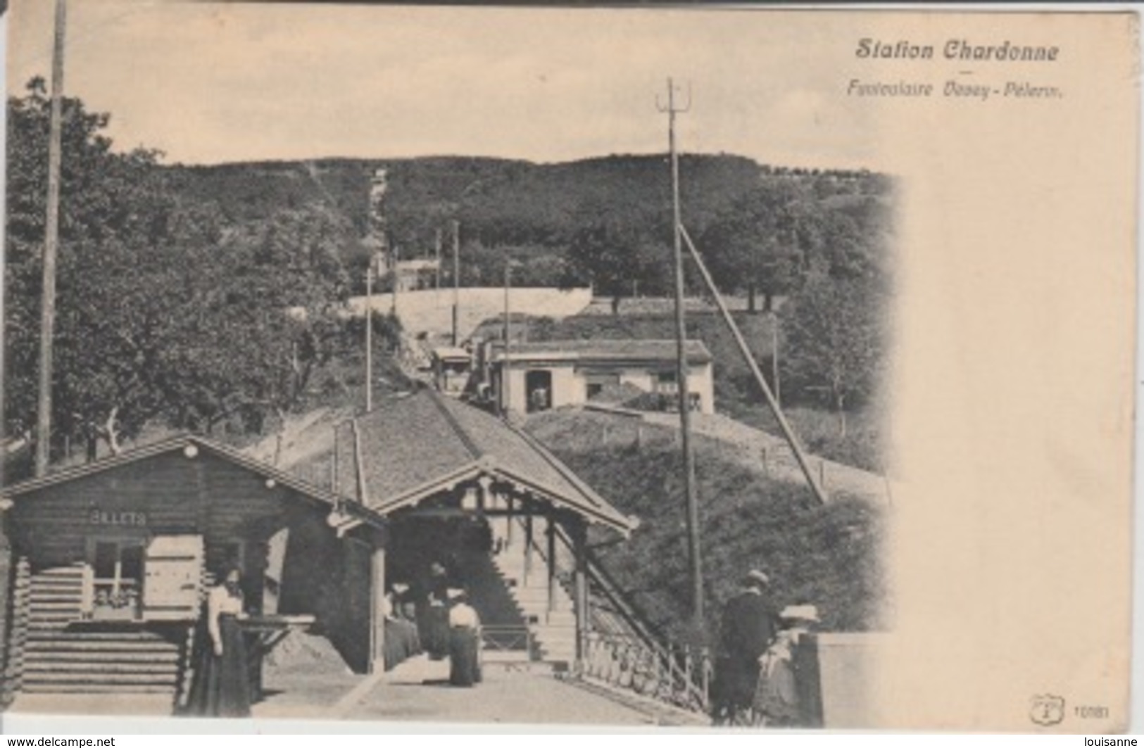 19 / 1 / 320  - STATION. CHARDONNE  - FUNICULAIRE  VEVEY - PÉLERIN   ( VD ) - Autres & Non Classés