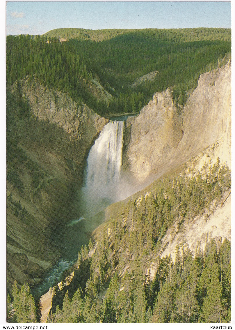 Lower Falls - Grand Canyon Of Yellowstone National Park - (USA) - USA National Parks