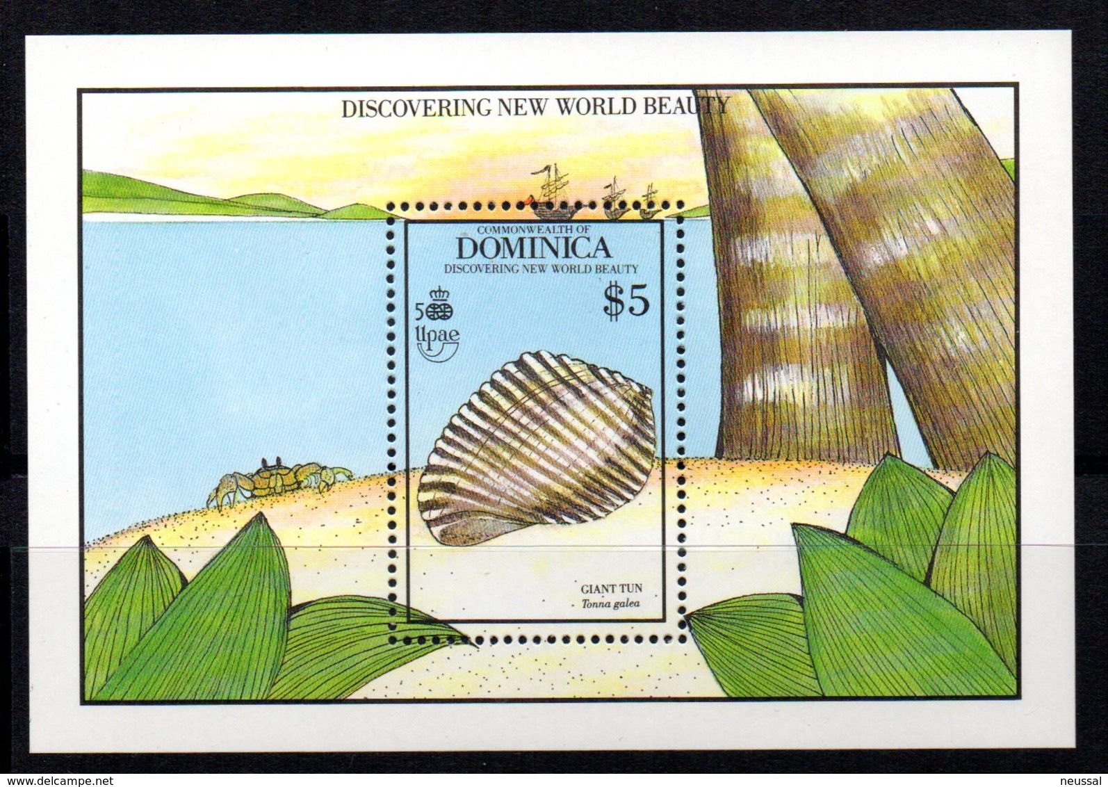 Hb- 166 Dominica - Muscheln