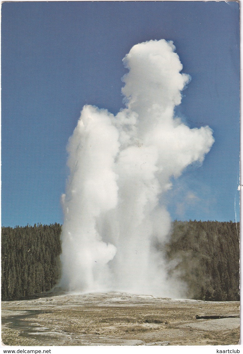 Old Faithful - Yellowstone National Park - (USA) - USA National Parks