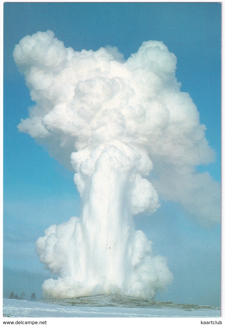 Old Faithful At Sunrise - Yellowstone National Park - (USA) - USA Nationale Parken