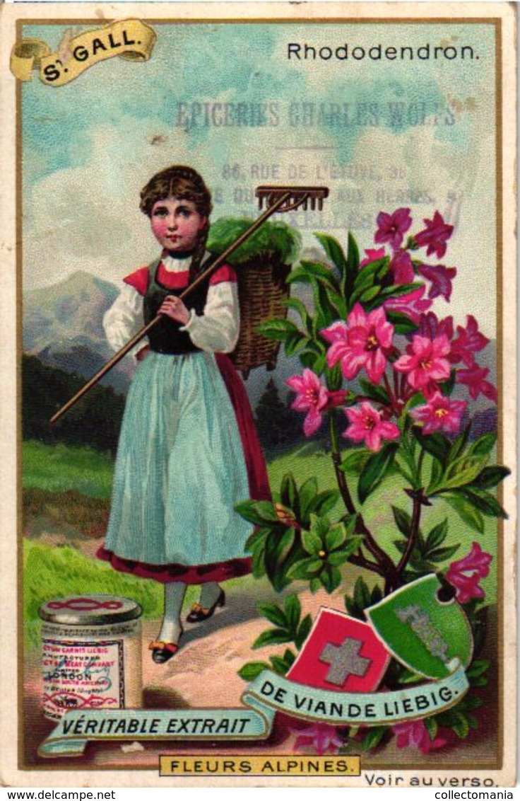 0474   Liebig 6 Cards--C1896 Alpine Flowers- Cyclame-Rhododendron-Patte De Lion-Gentiane-Primivère-Dryade - Liebig