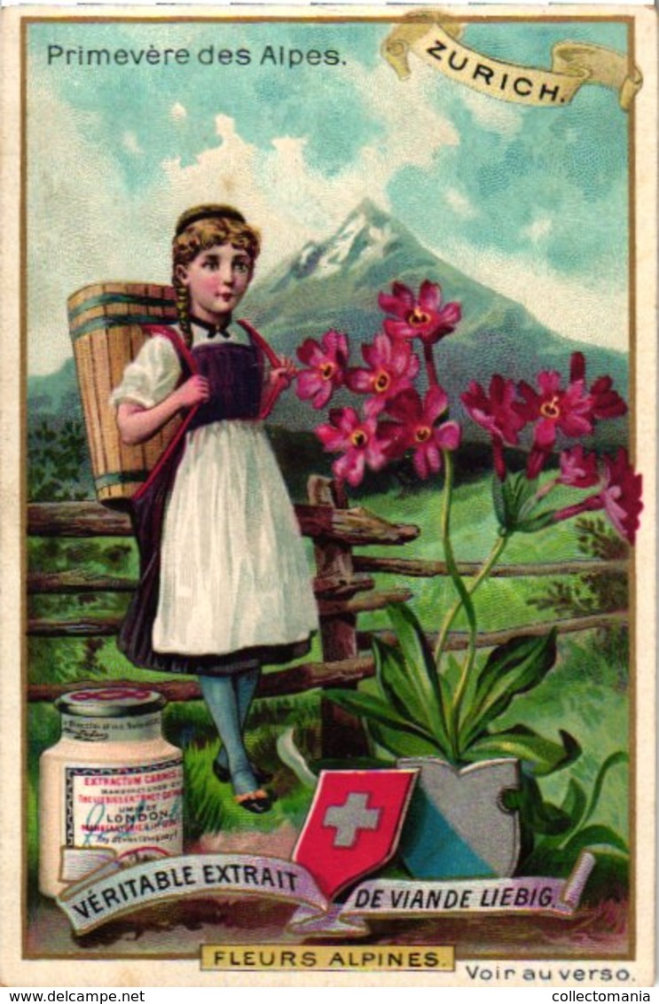 0474   Liebig 6 Cards--C1896 Alpine Flowers- Cyclame-Rhododendron-Patte De Lion-Gentiane-Primivère-Dryade - Liebig