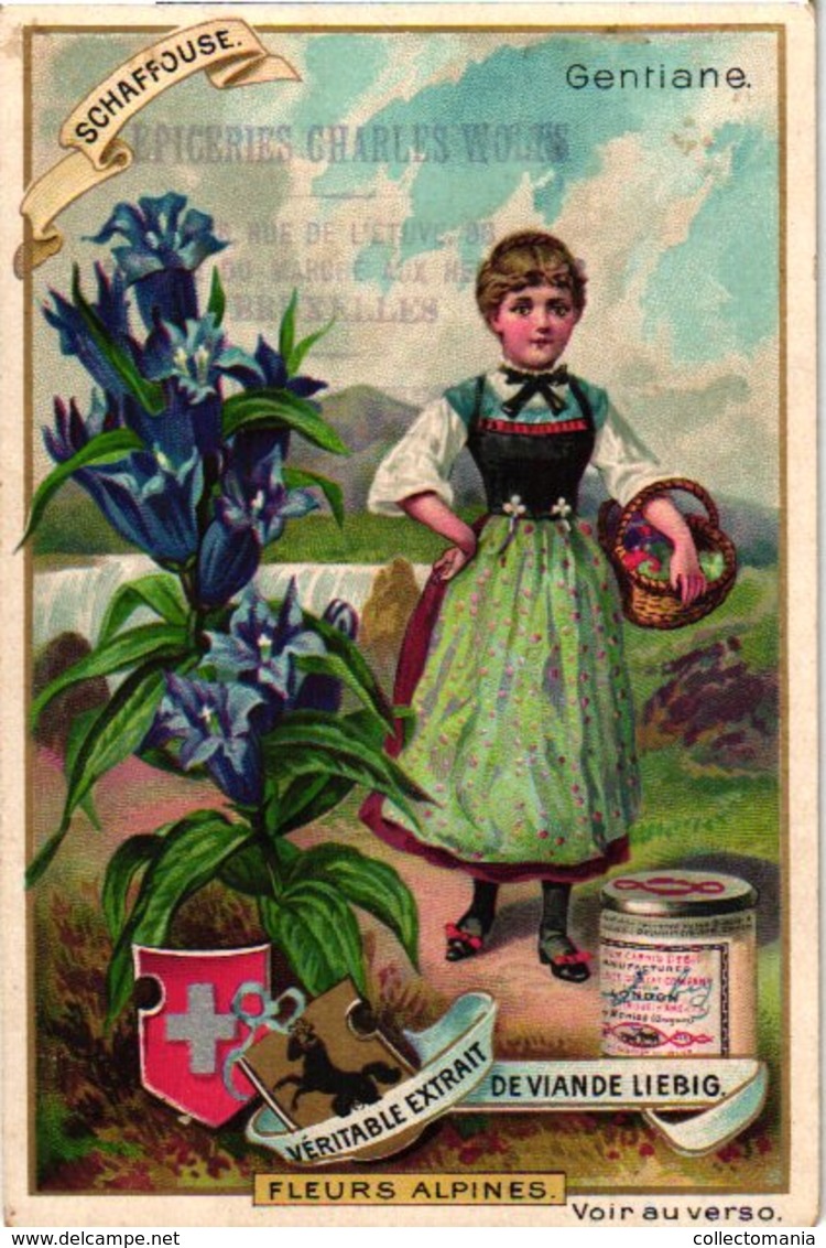 0474   Liebig 6 Cards--C1896 Alpine Flowers- Cyclame-Rhododendron-Patte de Lion-Gentiane-Primivère-Dryade