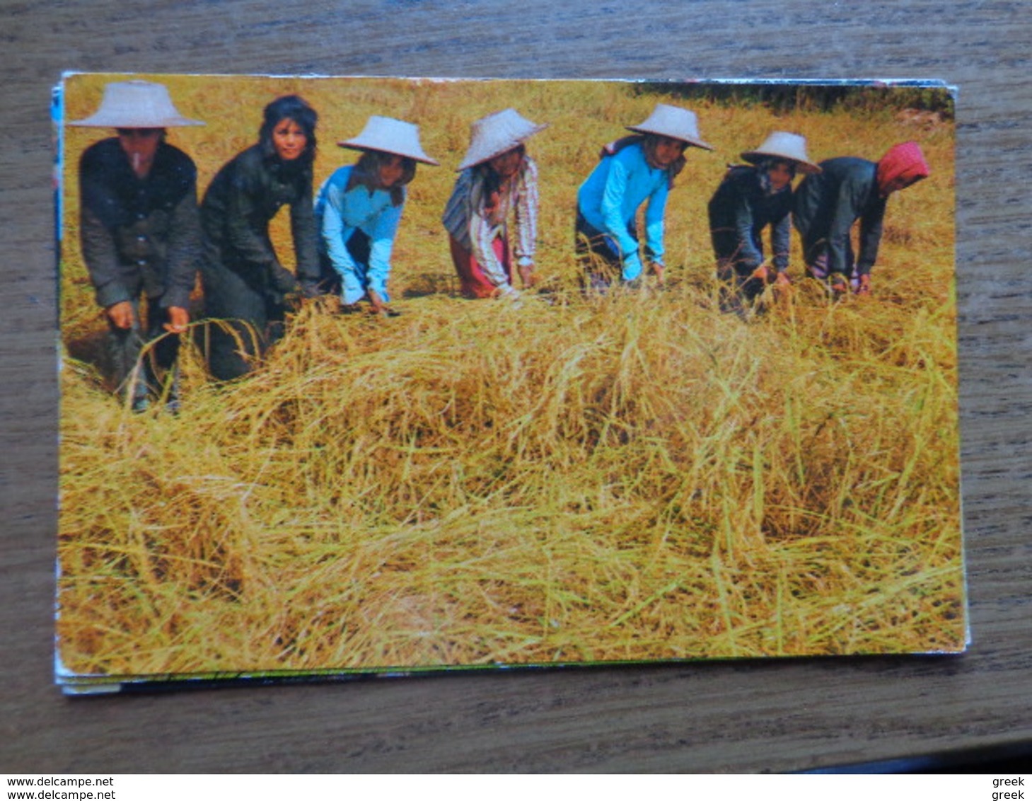 KOOPJE / Doos postkaarten (3kg430)  Allerlei landen en thema's (veel Azië) - zie foto's