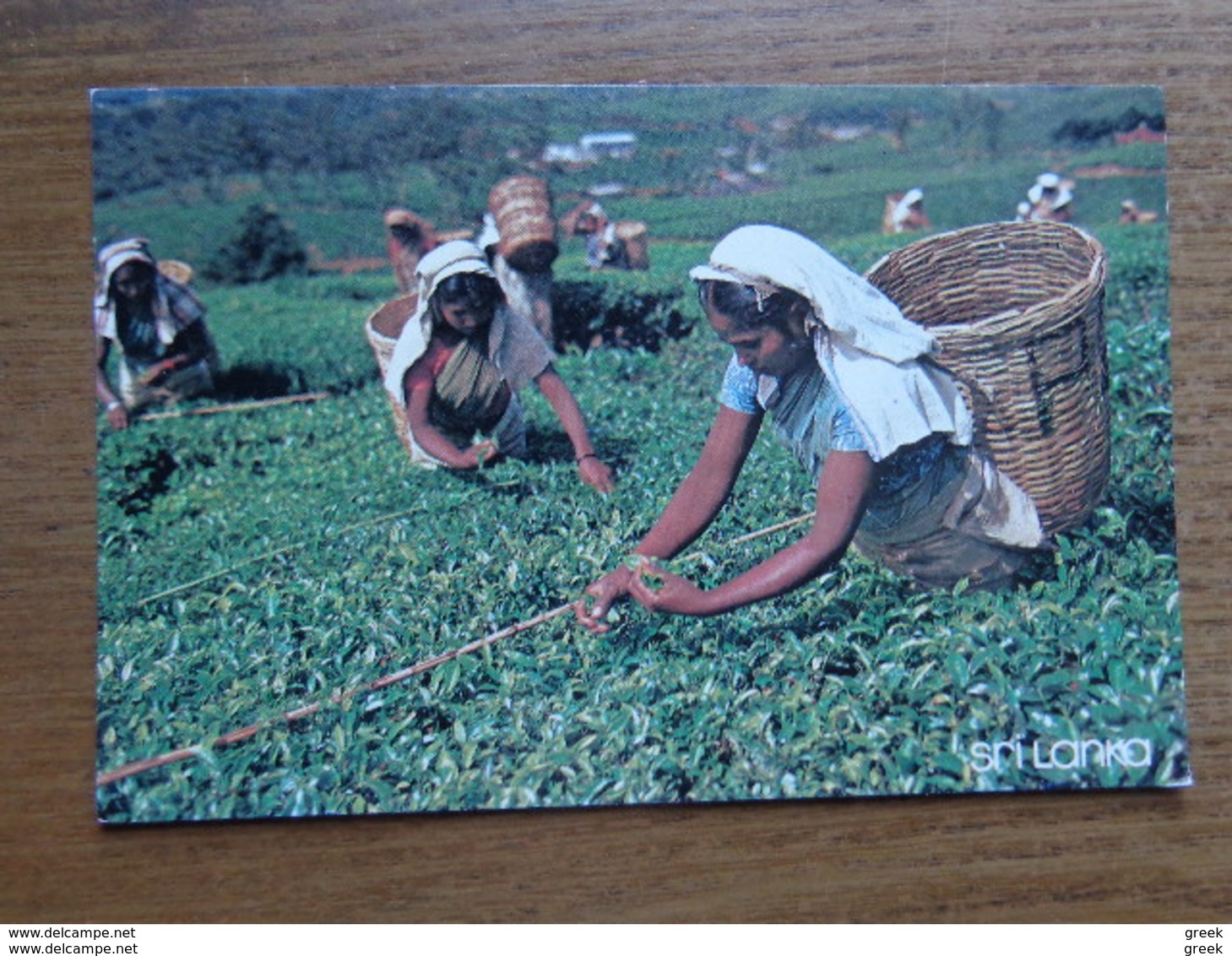 KOOPJE / Doos postkaarten (3kg430)  Allerlei landen en thema's (veel Azië) - zie foto's