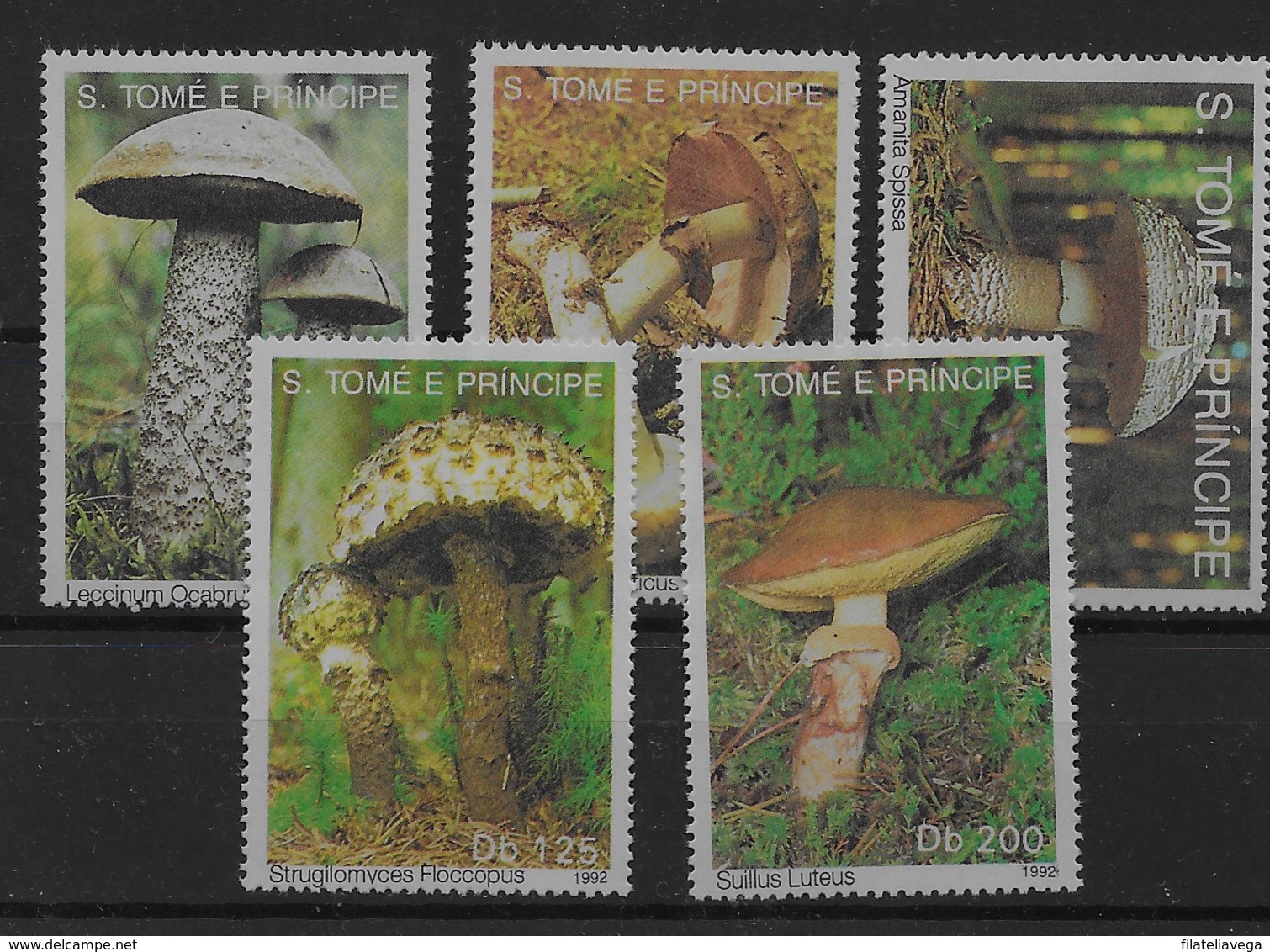 Serie De Santo Tomé Nº Yvert 1346/50 ** SETAS (MUSHROOMS) - Sao Tome Et Principe