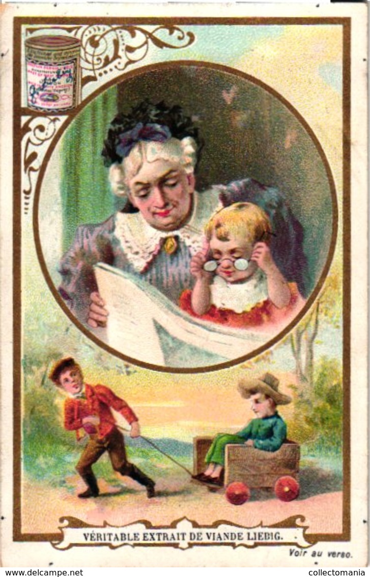 0488   Liebig 6 Cards--C1896-Little & Large-Jeunes & Vieux- - Liebig