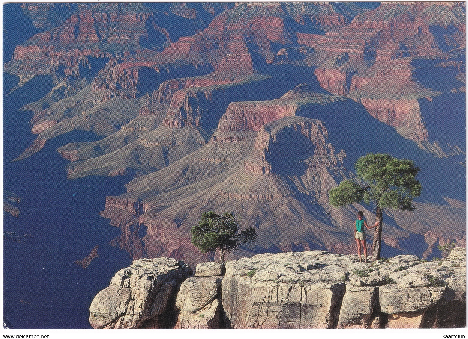 Grand Canyon - High Plateau Of The Rim Country - (USA) - USA Nationale Parken