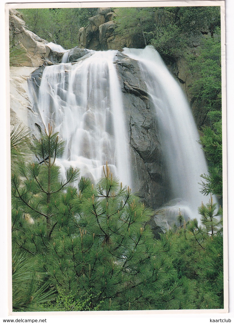 Grizzly Falls, Kings Canyon National Park - California - (USA) - USA Nationale Parken