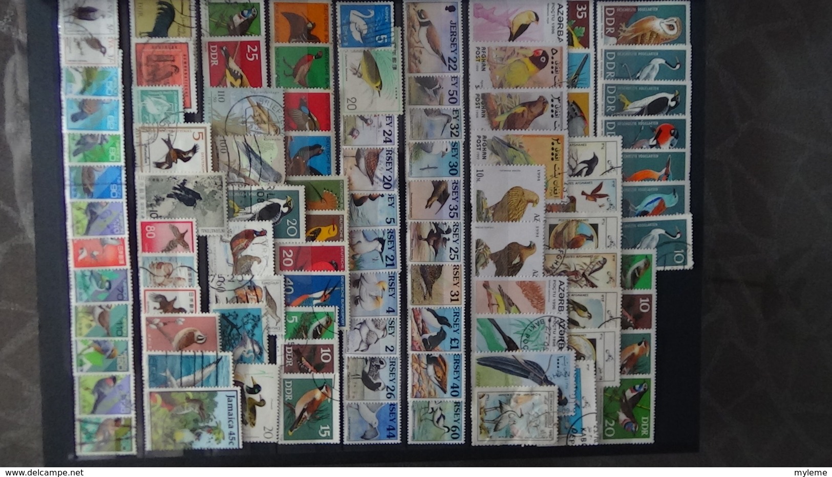 Belle Thématiques Sur Les Oiseaux . Plusieurs Dizaines De Timbres Et 33 Photos !!! - Verzamelingen (in Albums)