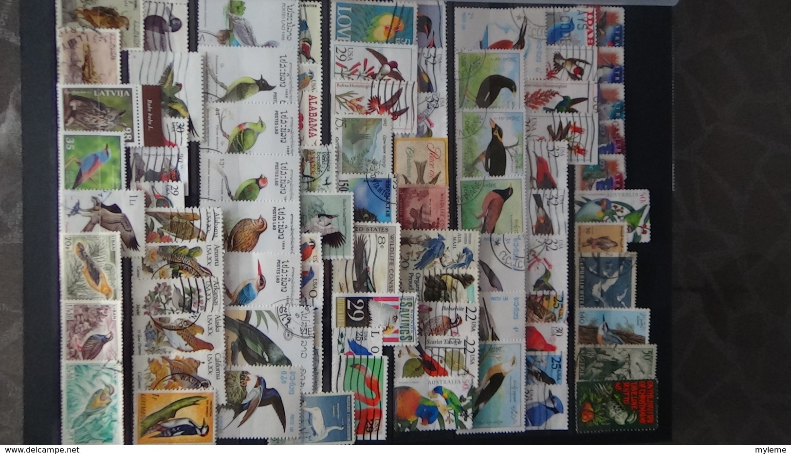 Belle Thématiques Sur Les Oiseaux . Plusieurs Dizaines De Timbres Et 33 Photos !!! - Collections (en Albums)