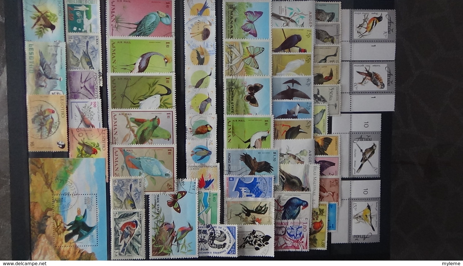 Belle Thématiques Sur Les Oiseaux . Plusieurs Dizaines De Timbres Et 33 Photos !!! - Collections (en Albums)