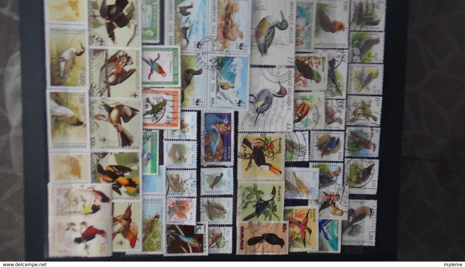 Belle thématiques sur les oiseaux . Plusieurs dizaines de timbres et 33 photos !!!