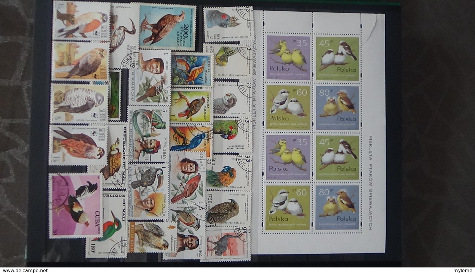 Belle thématiques sur les oiseaux . Plusieurs dizaines de timbres et 33 photos !!!