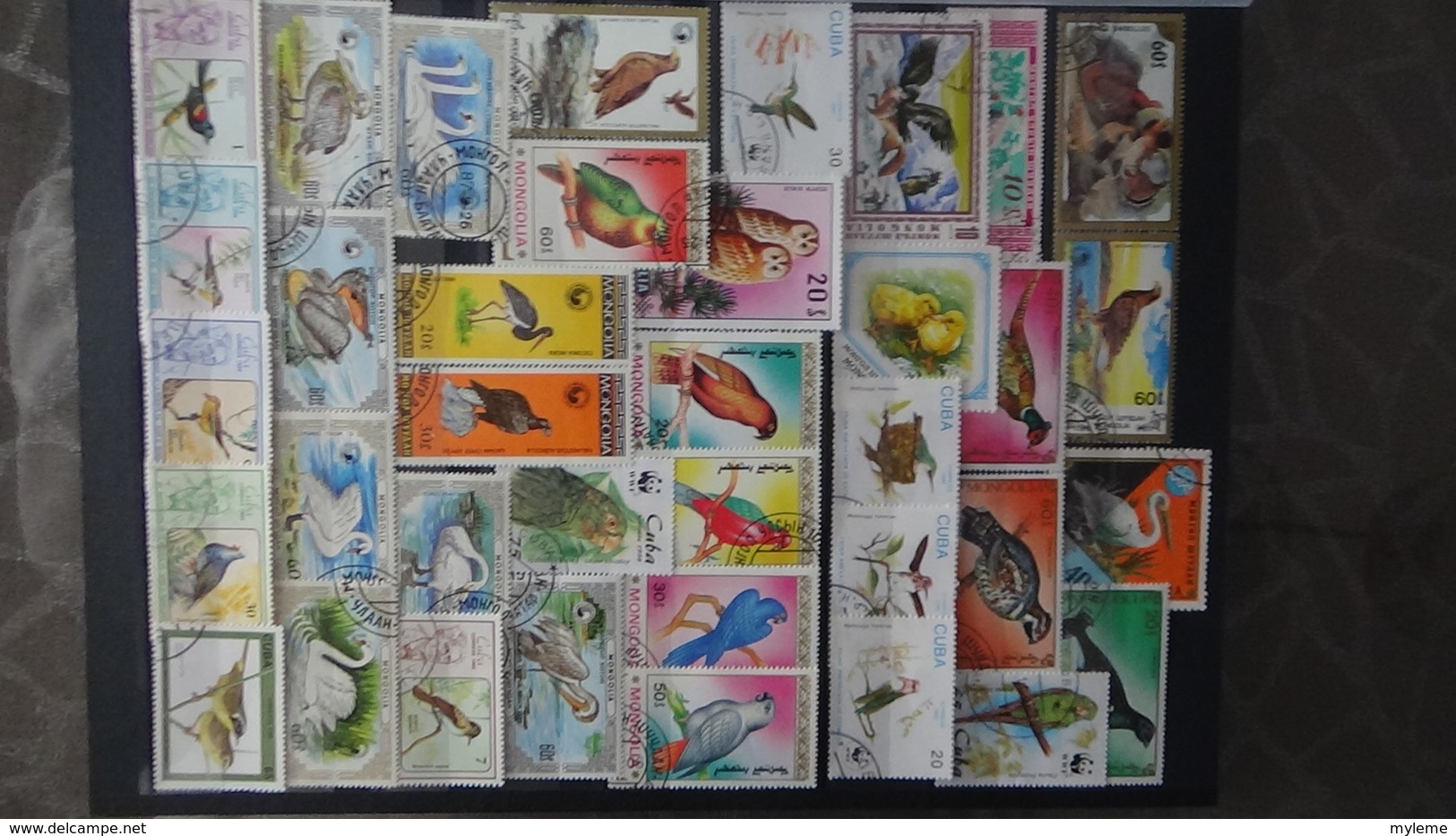 Belle thématiques sur les oiseaux . Plusieurs dizaines de timbres et 33 photos !!!