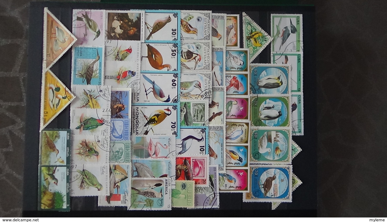 Belle thématiques sur les oiseaux . Plusieurs dizaines de timbres et 33 photos !!!