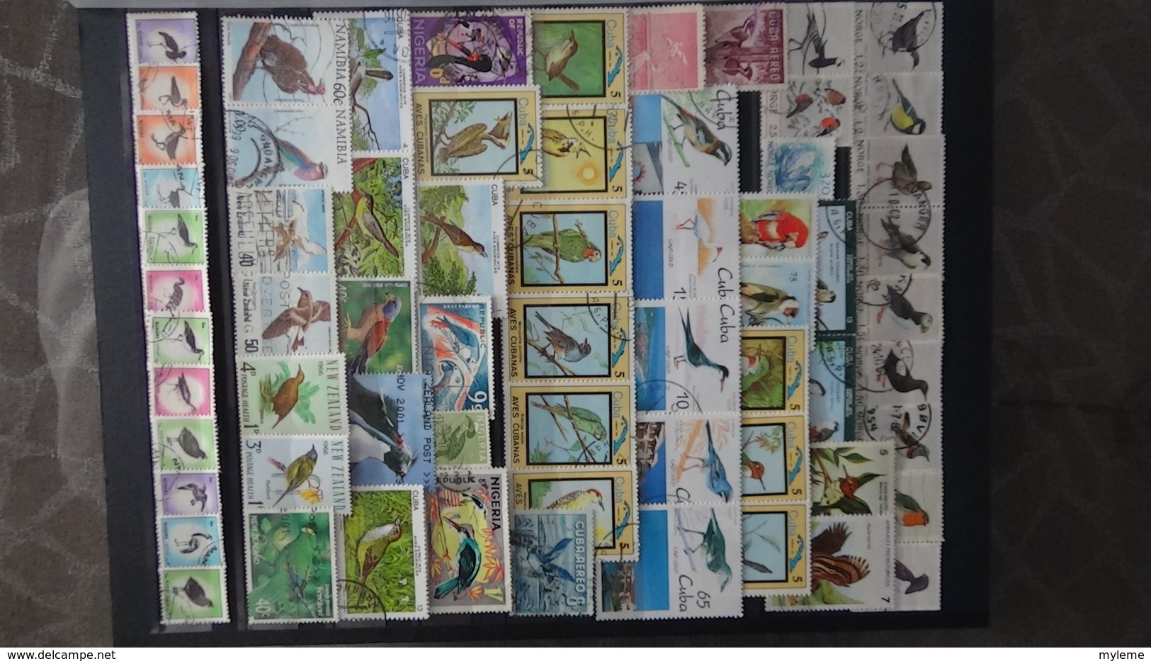 Belle thématiques sur les oiseaux . Plusieurs dizaines de timbres et 33 photos !!!