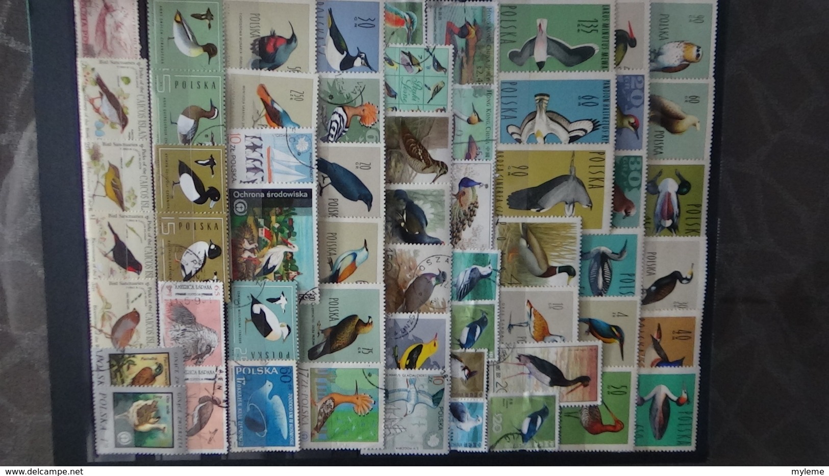 Belle thématiques sur les oiseaux . Plusieurs dizaines de timbres et 33 photos !!!