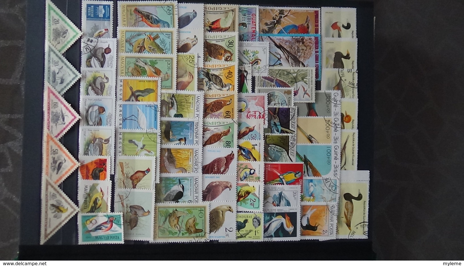 Belle thématiques sur les oiseaux . Plusieurs dizaines de timbres et 33 photos !!!