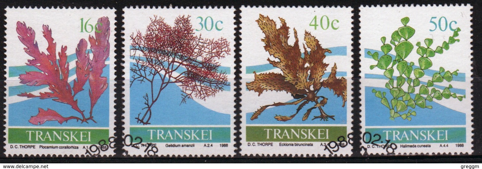 Transkei 1988 Set Of Stamps To Celebrate Seaweed. - Transkei