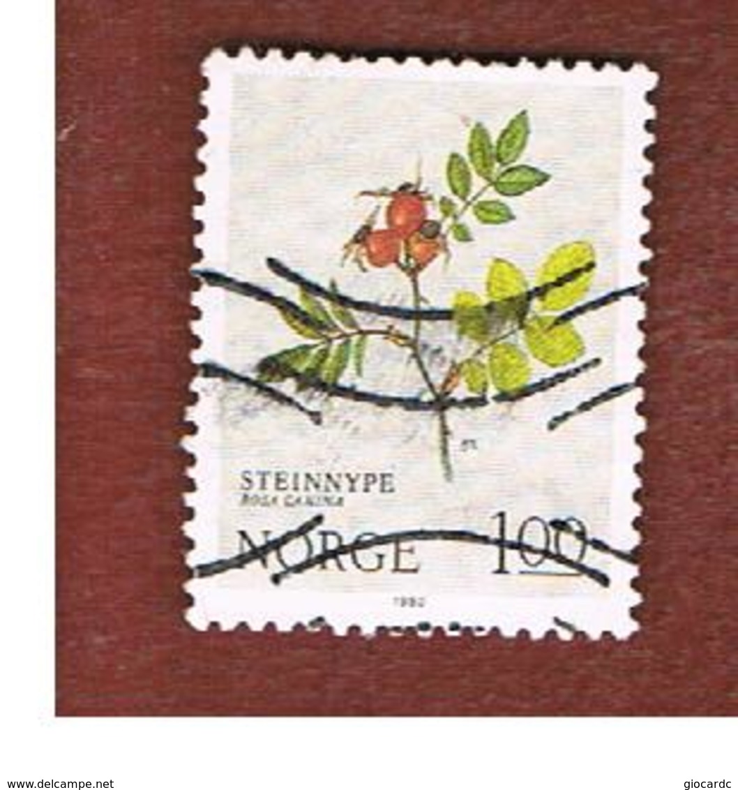 NORVEGIA  (NORWAY)    SG 868  -   1980   FLOWERS: ROSA CANINA -   USED ° - Usati