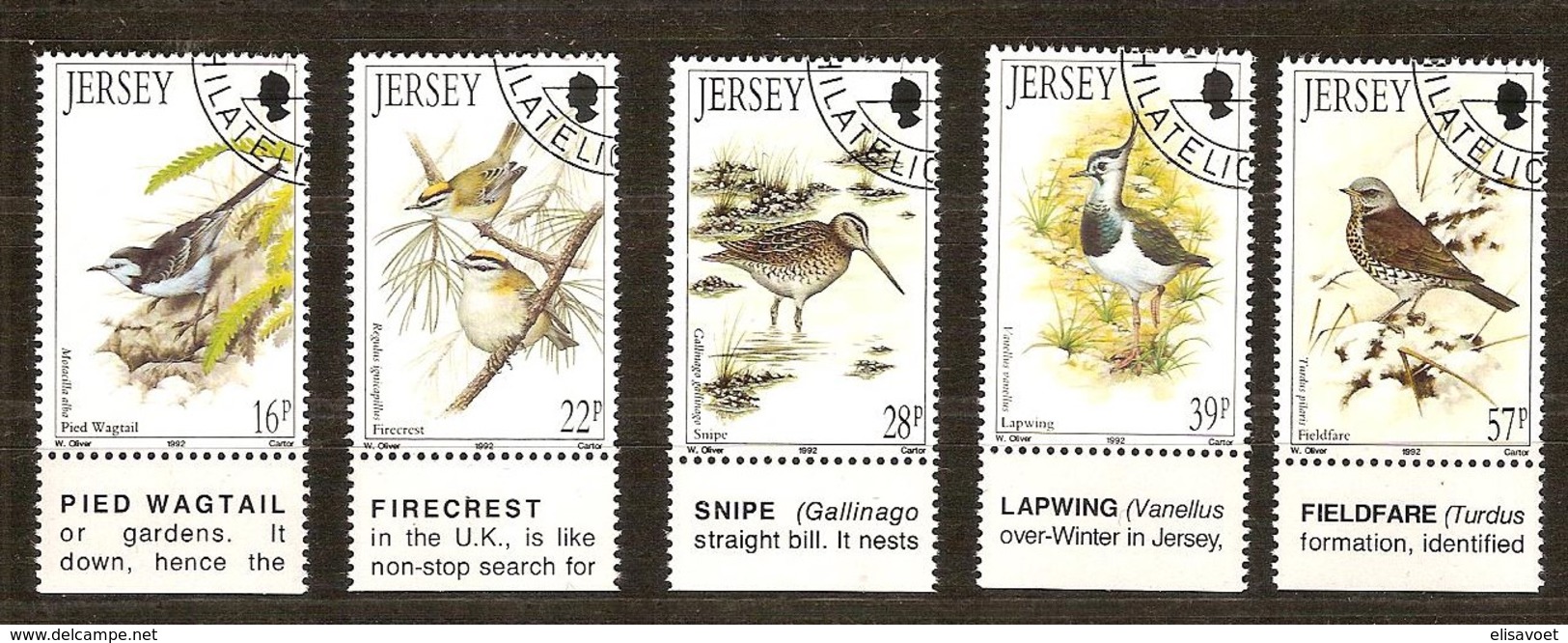 Jersey 1992 Yvertn°  557-61  (°) Oblitéré Used Cote 11 Euro  Fauna Oiseaux Vogels Birds - Jersey