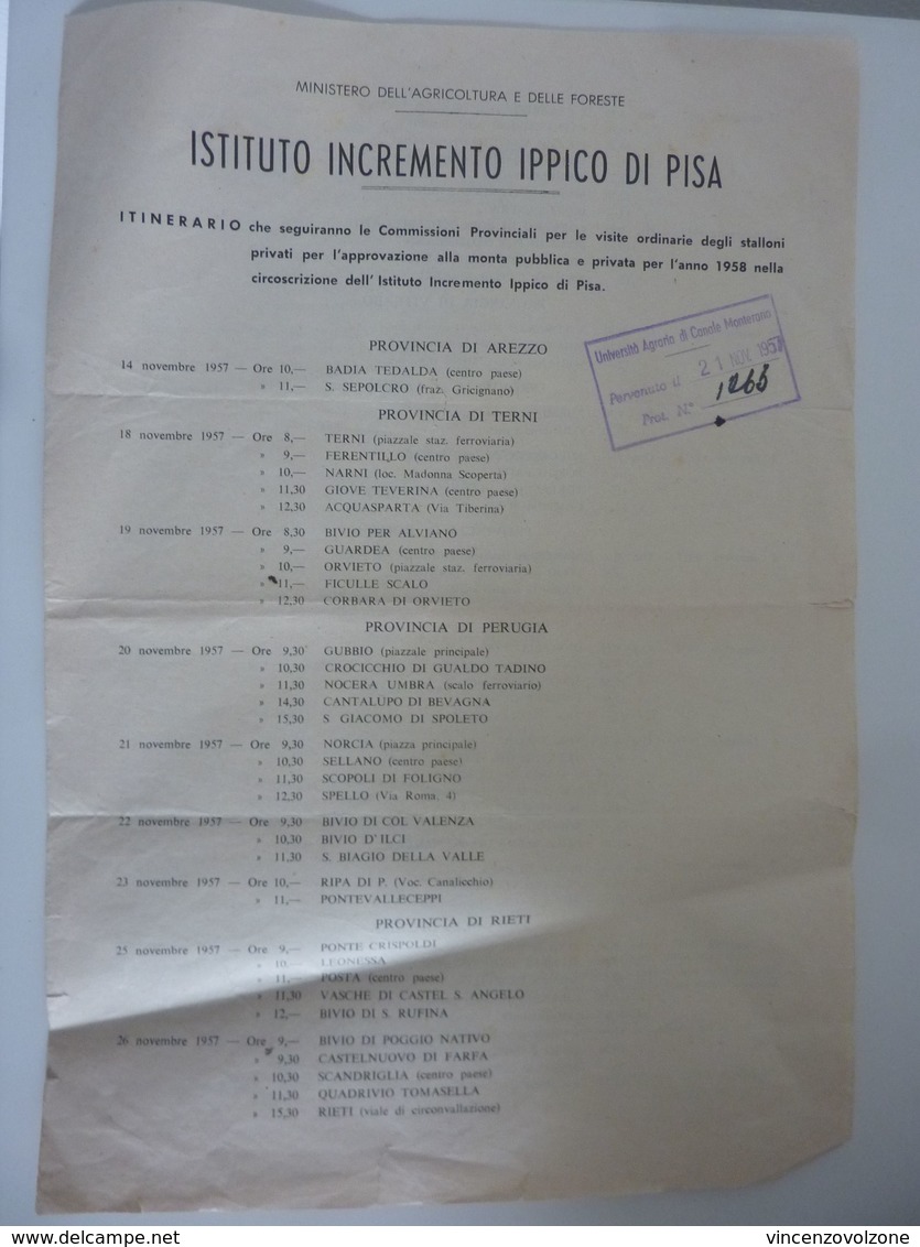 Documento Spedito Per Posta "ISTITUTO INCREMENTO IPPICO DI PISA" 21 Novembre 1957 - Documenti Storici