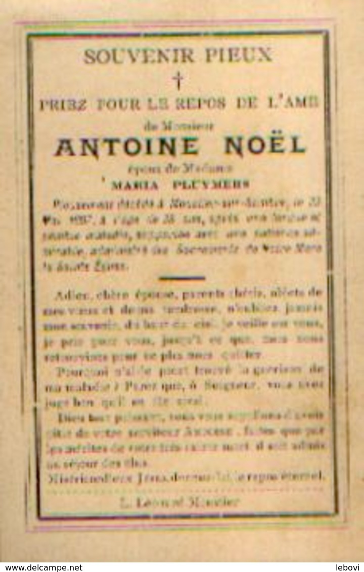 Souvenir Mortuaire NOËL Antoine (1879-1907) Mort à MOUSTIER-SUR-SAMBRE - Images Religieuses