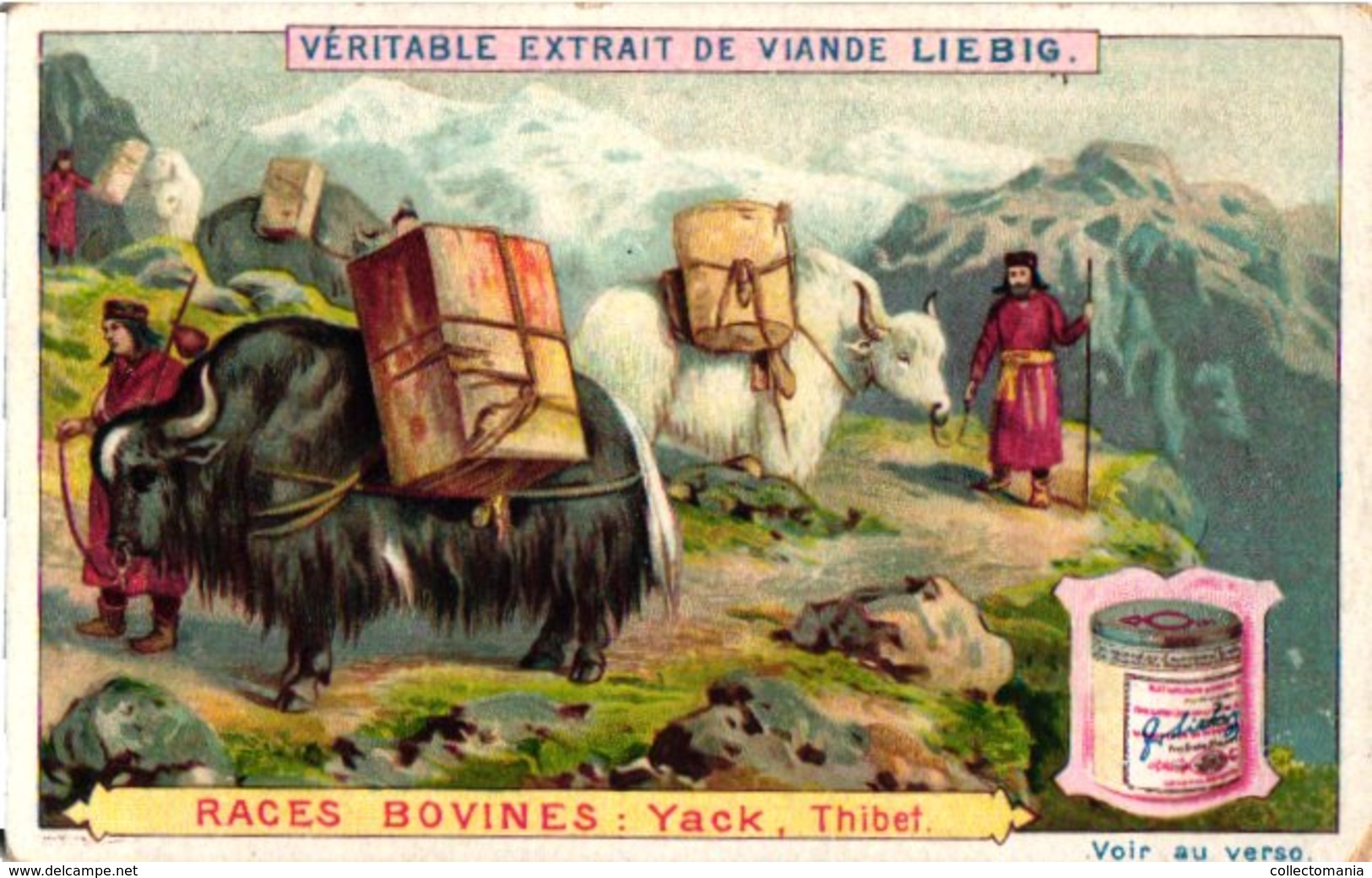 0503  Liebig 6 Cards--C1896- Types Of Cattle-Races Bovines-Yack Tibet-Groenland Arochs-Zeboe-Buffle-Bizon- - Liebig