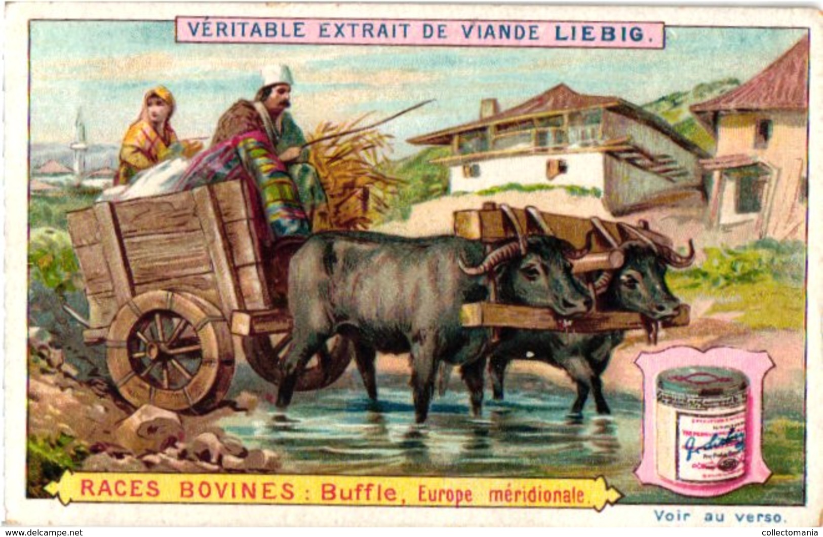 0503  Liebig 6 Cards--C1896- Types of Cattle-Races Bovines-Yack Tibet-Groenland Arochs-Zeboe-Buffle-Bizon-