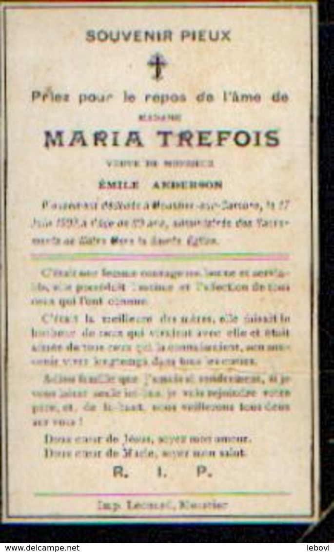 Souvenir Mortuaire TREFOIS Maria (1849-1909) Vve ANDERSON, E.morte à MOUSTIER-SUR-SAMBRE - Images Religieuses