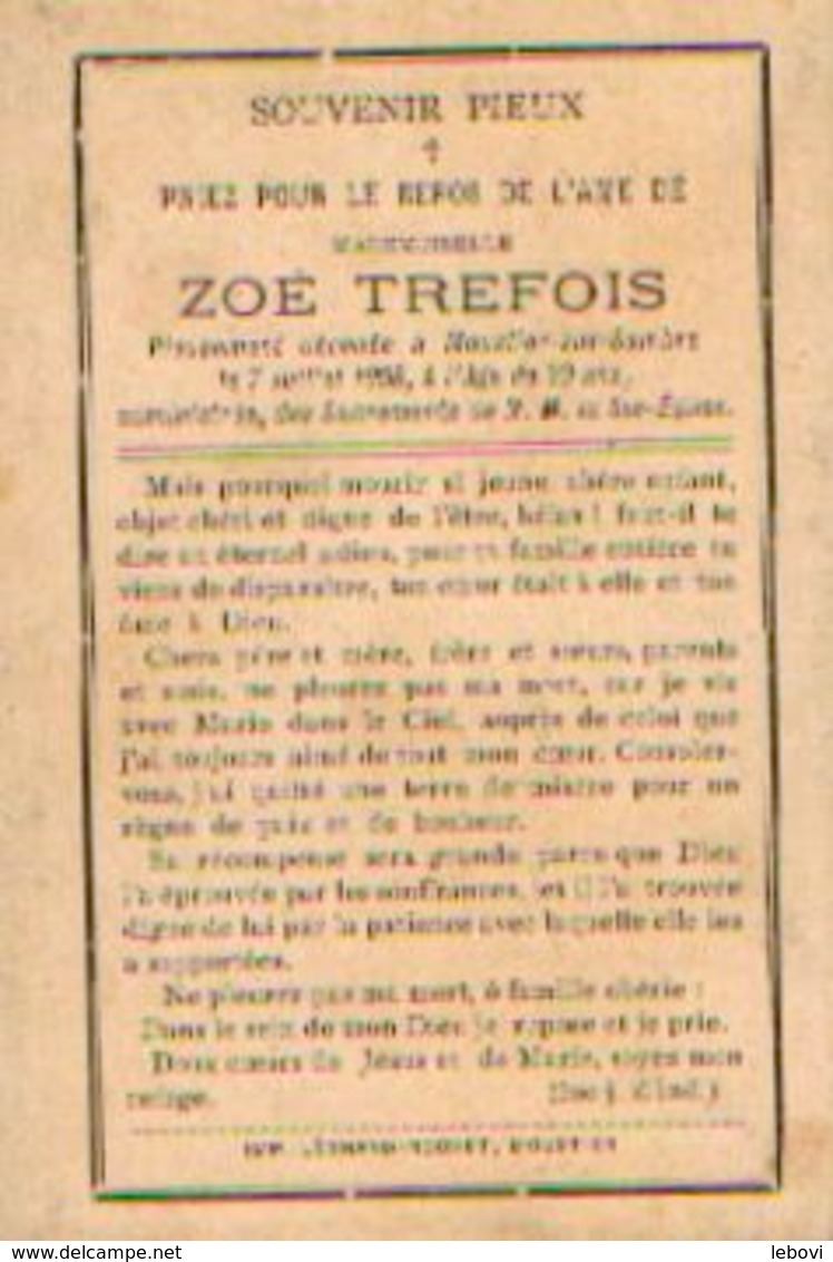 Souvenir Mortuaire TREFOIS Zoé (1888-1908) Morte à MOUSTIER-SUR-SAMBRE - Images Religieuses