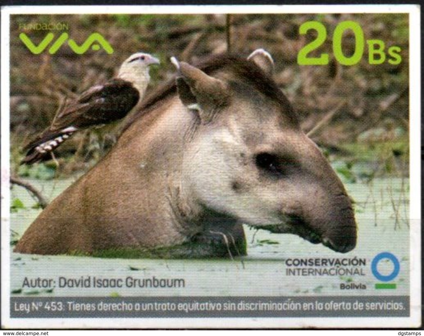 Bolivia 2018 - 23-09-19 VIVA MOVIL. Halcon Y Tapir En Peligro. Conservacion Internacional.Foto David I. Grunbaun. - Águilas & Aves De Presa