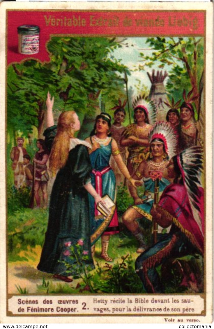 0509-  Liebig 6 Cards--C1897  Scenes From The Works Of John  Fennimore Cooper- - Liebig